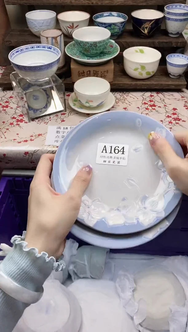 瓷片                A164