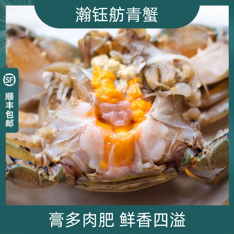 特大红膏蟹净重4-5两大螃蟹红鲟母青蟹海捕美味鲜活发货顺丰到家