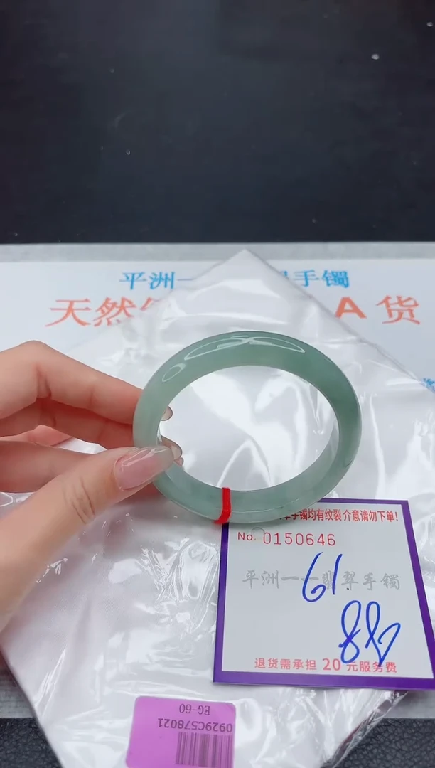 未镶嵌手镯翡翠1