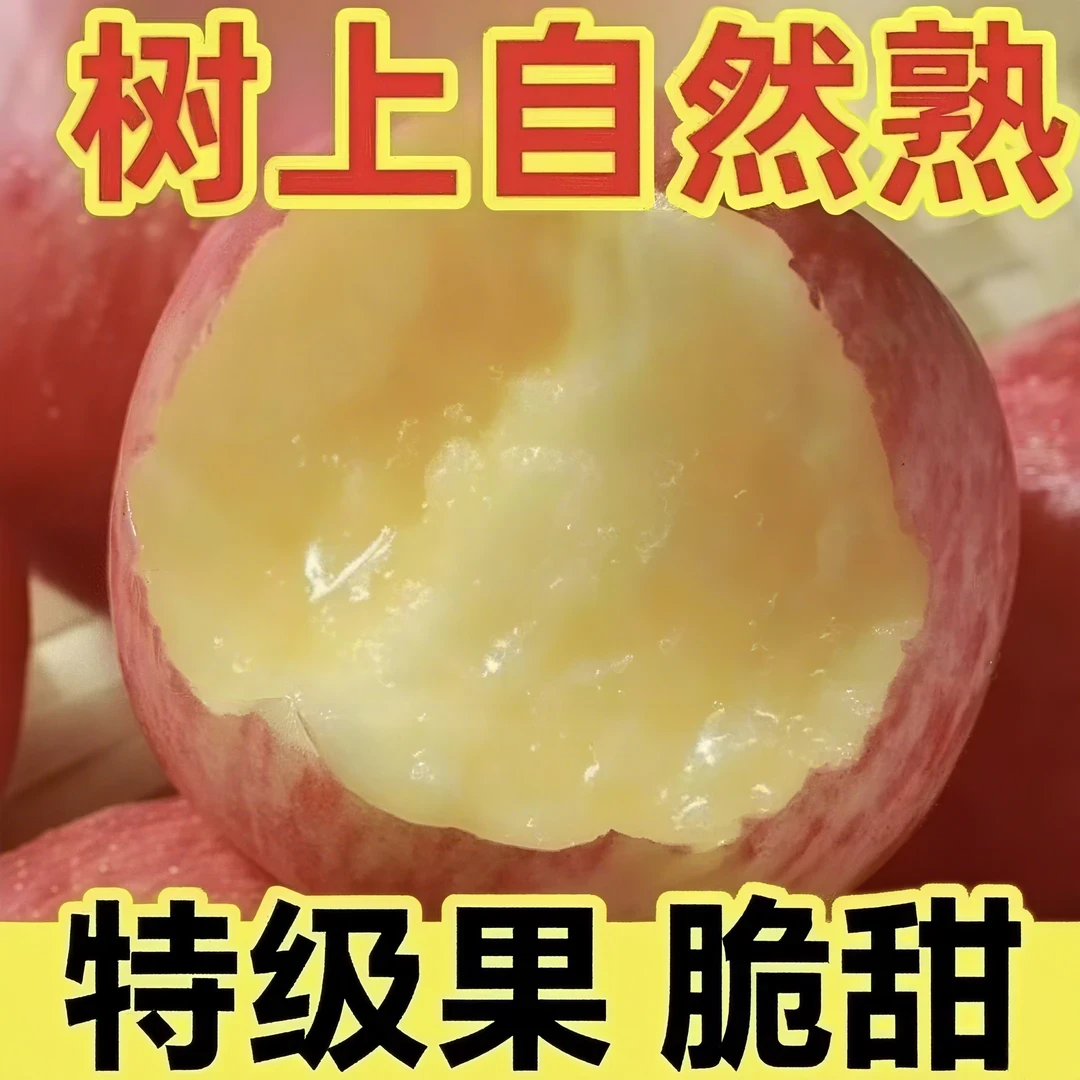 B正宗红富士苹果果园直采脆甜多汁现摘现发