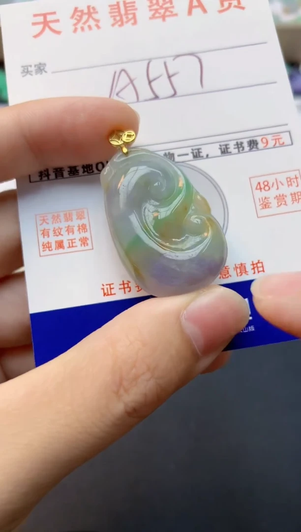 颈饰未镶嵌翡翠天然缅甸A货翡翠