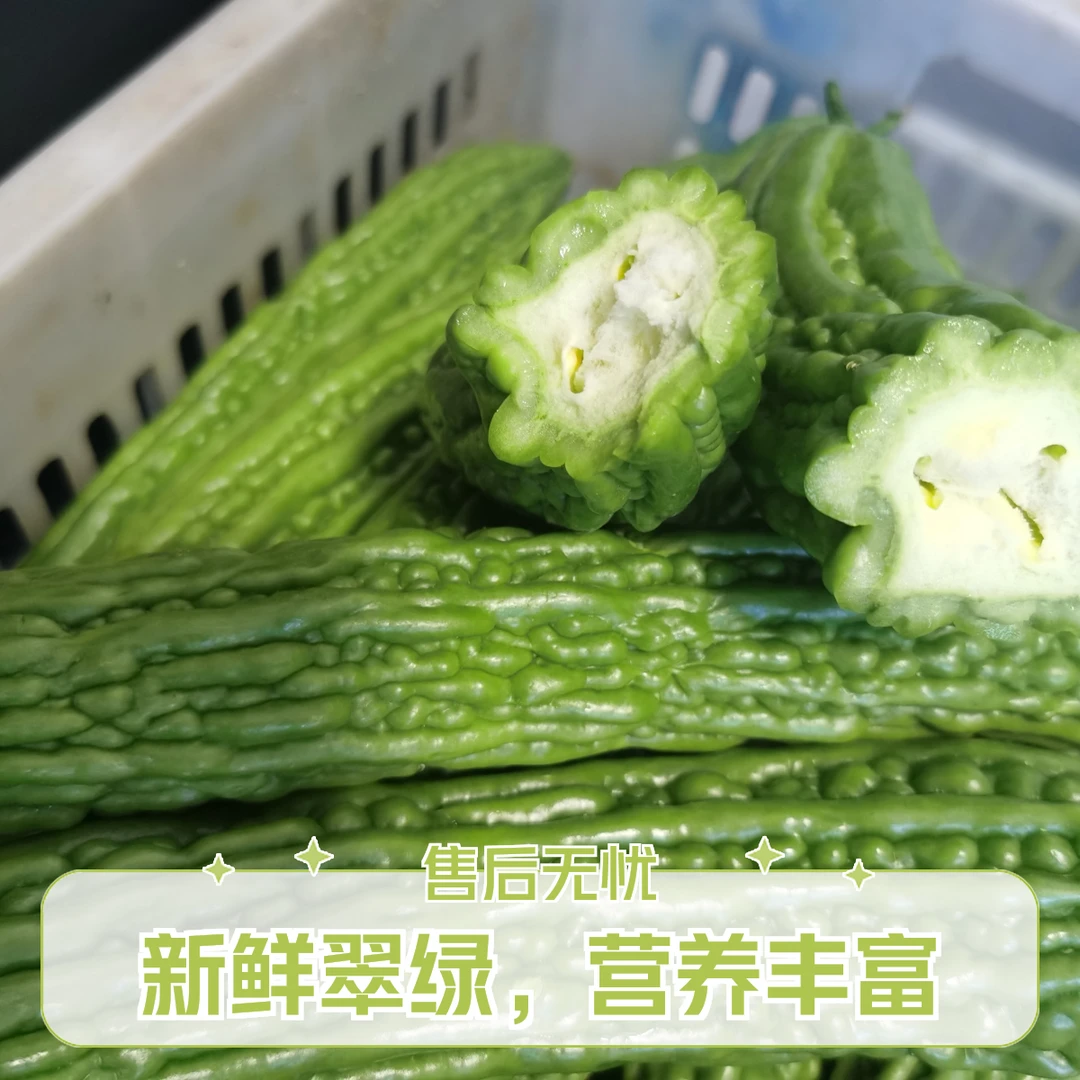 苦瓜【新鲜现摘】苦瓜当季农家自种蔬菜凉瓜生鲜瓜绿苦瓜清苦脆嫩3斤5斤苦瓜同城送苦瓜