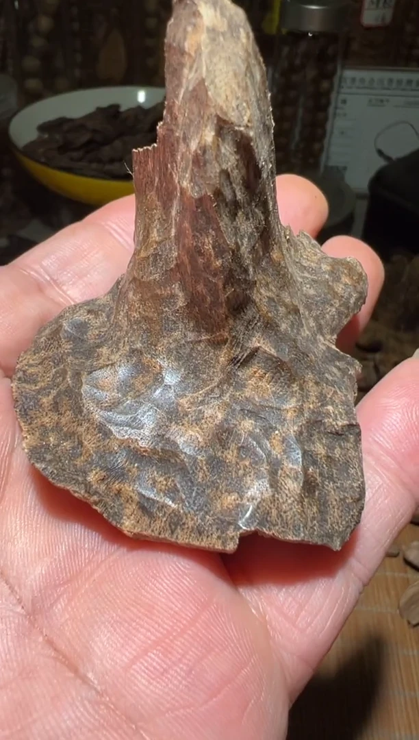 沉香沉香碎屑芽庄7.5克