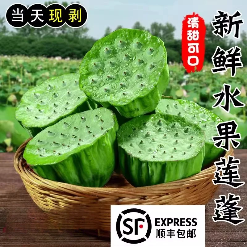 【顺丰包邮】莲蓬新鲜生吃现摘当季水果莲子米甜脆嫩莲子莲蓬水果