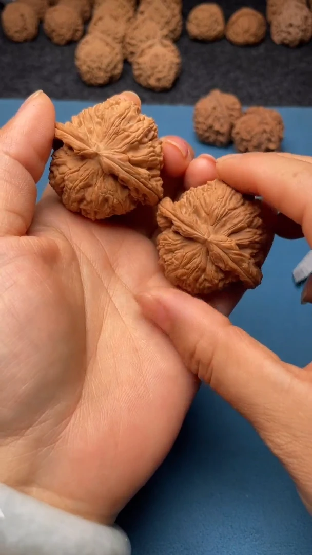 桃核把件w75  白狮子 44尺