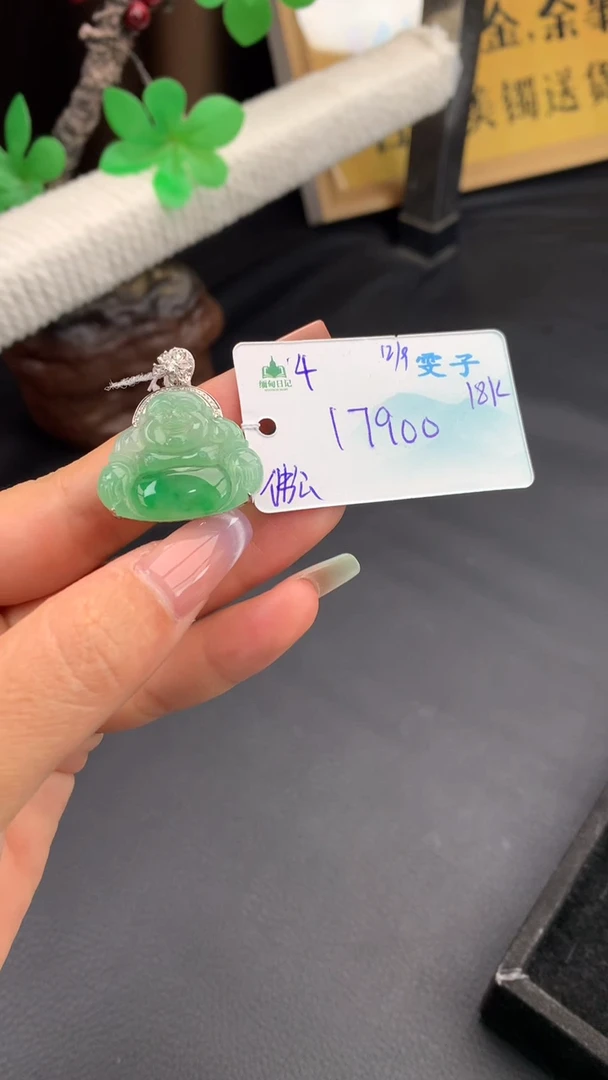 颈饰未镶嵌翡翠自带#送人#，联系客服核对地址~