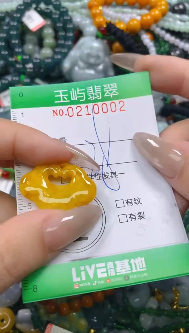 颈饰未镶嵌翡翠闪购0210002