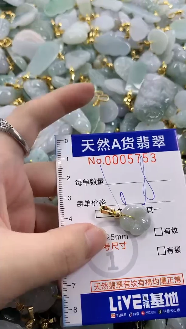 颈饰未镶嵌翡翠天然A货翡翠