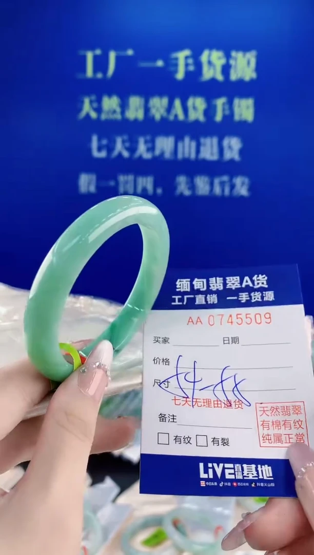 未镶嵌手镯翡翠09