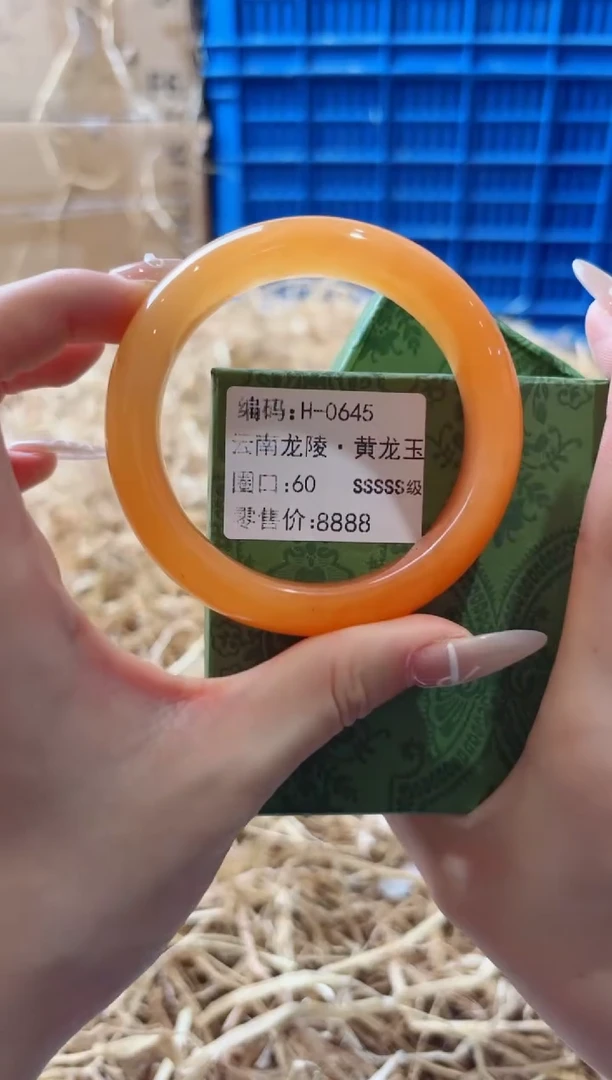 未镶嵌手镯石英质玉H-0645