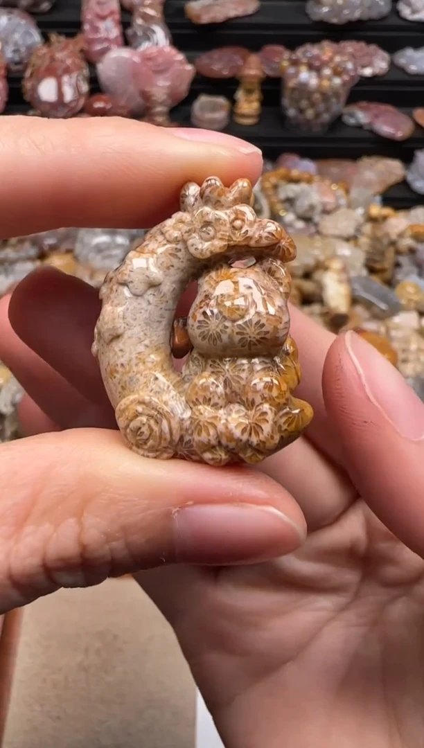 【闪购商品】硅化珊瑚（珊瑚玉）颈饰未镶嵌197