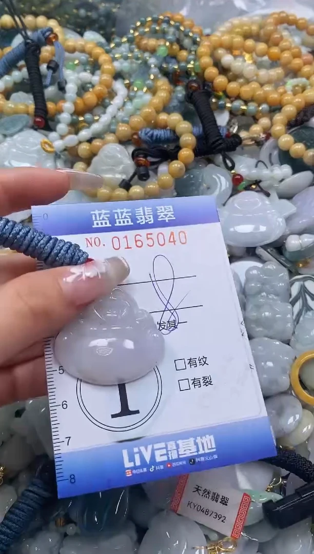 【闪购商品】翡翠颈饰未镶嵌闪购0165040