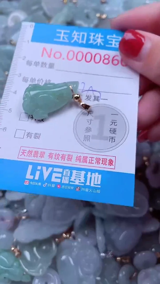 吊坠(不含链)未镶嵌翡翠860