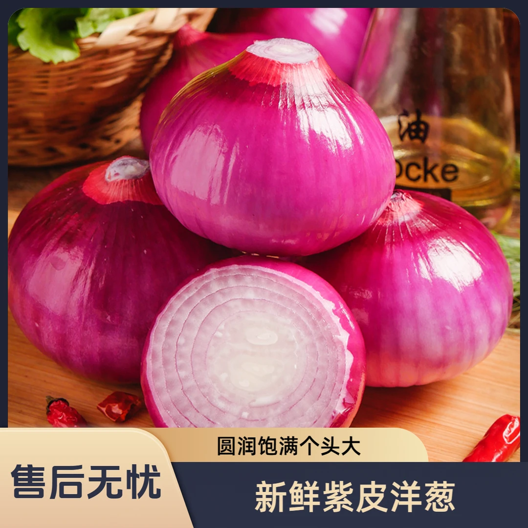 新鲜现挖紫皮水果洋葱可生吃微辣微甜口感脆爽适合炒菜凉拌
