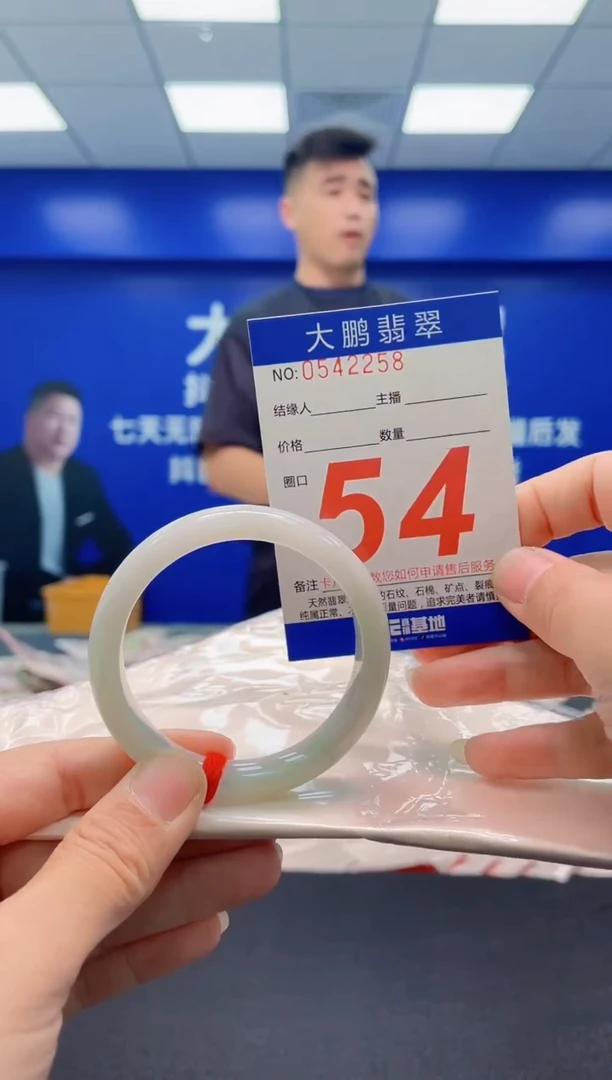 未镶嵌手镯翡翠AAAAAAAAA