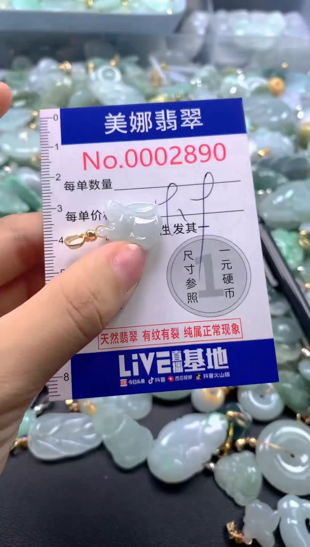 颈饰未镶嵌翡翠2890
