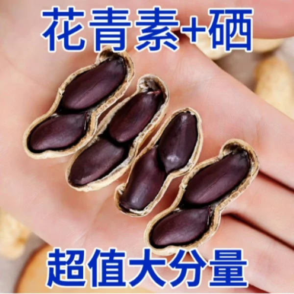 25年淮河红皮黑皮新鲜现挖带壳湿花生农家自种颗粒饱满