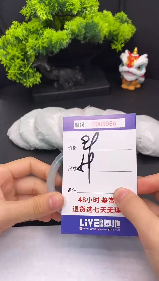 未镶嵌手镯翡翠0009988