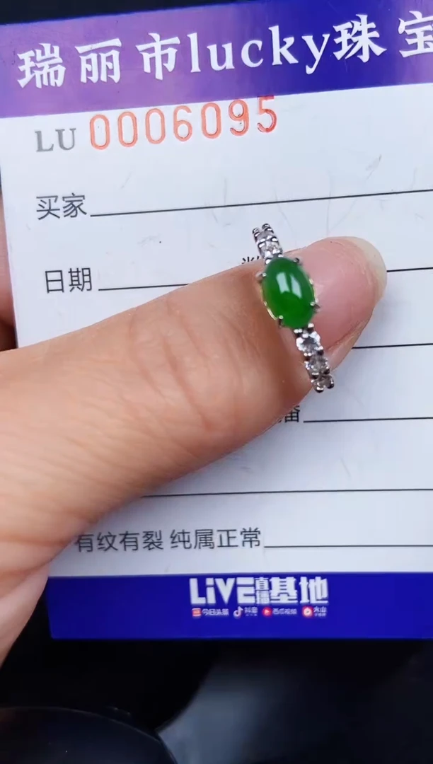 翡翠银S925镶嵌颈饰6095