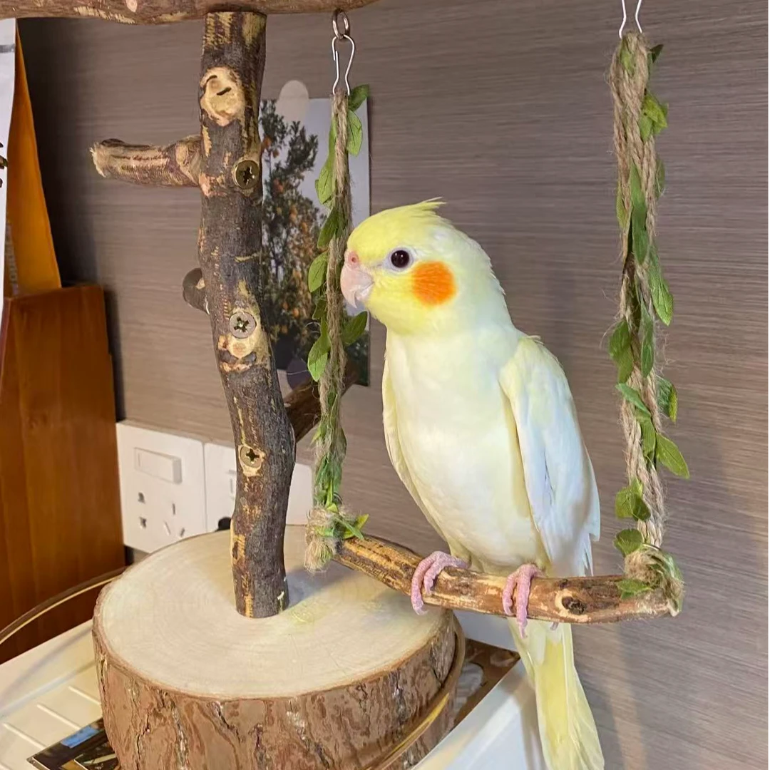 【直播链接】玄凤鹦鹉雏鸟一物一拍半毛活体（签收后包48小时）