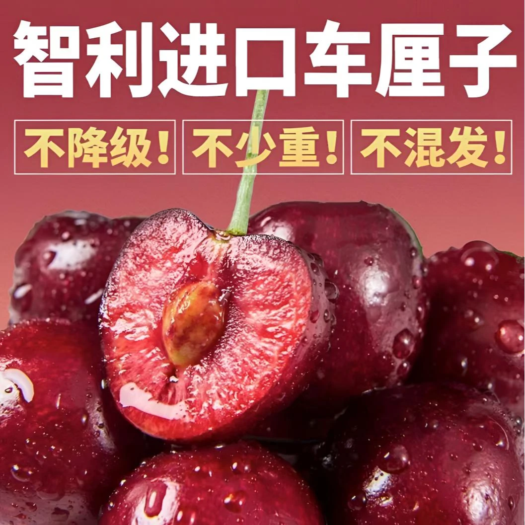 X【过年不打烊】进口智利车厘子拉宾斯2JD~4JD原标原箱五斤