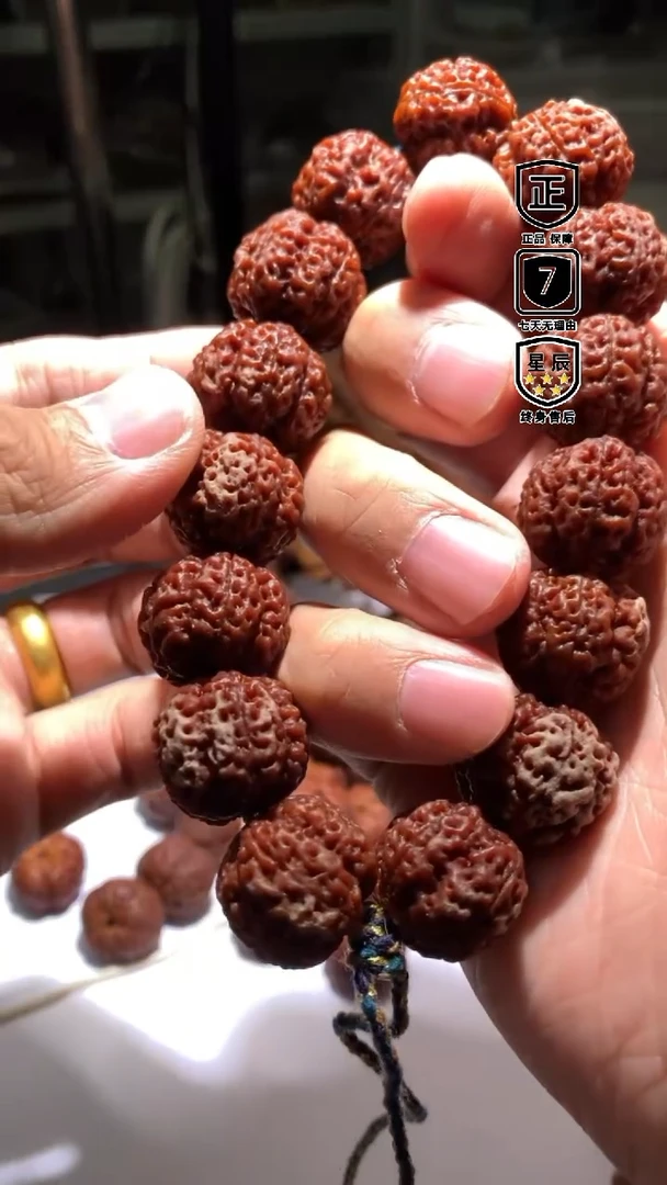 金刚菩提手串090