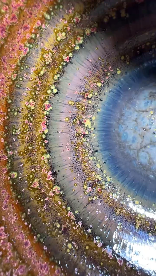 茶盏袁忠精品分享3