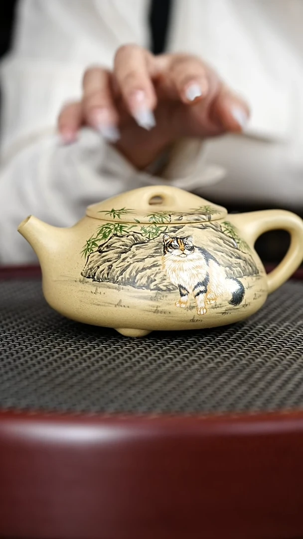 茶壶紫砂119YJB 本绿 景舟石瓢