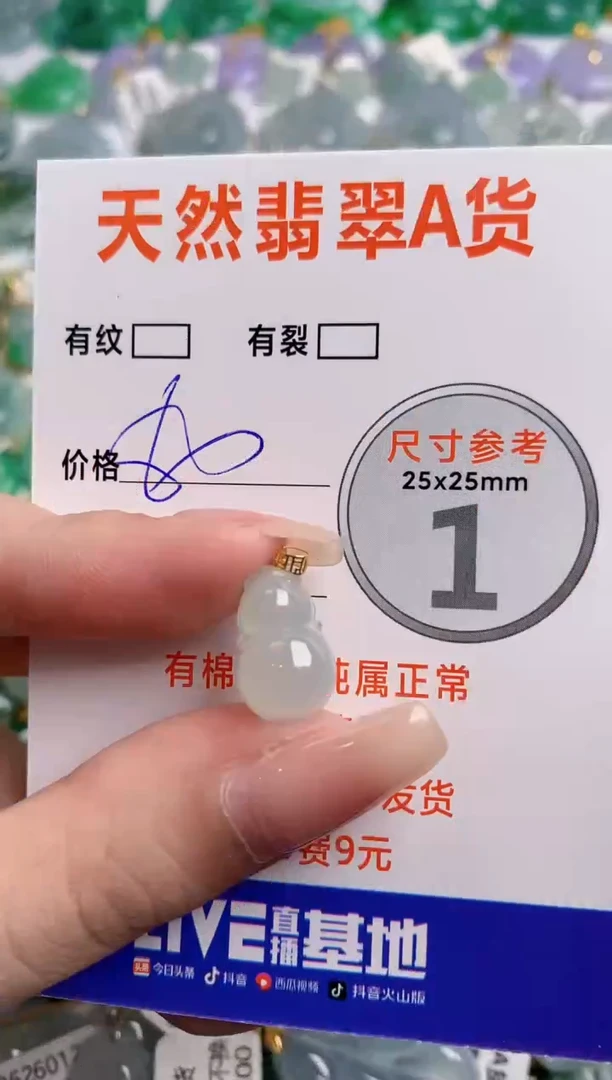 翡翠18K金镶嵌颈饰24000877