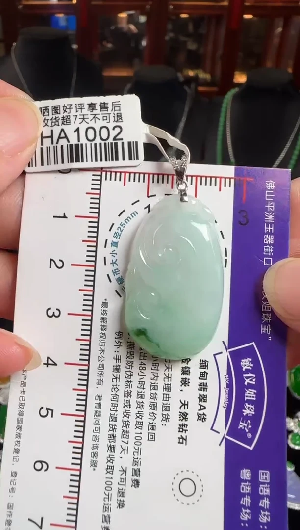 颈饰18K金镶嵌翡翠HA1002如意