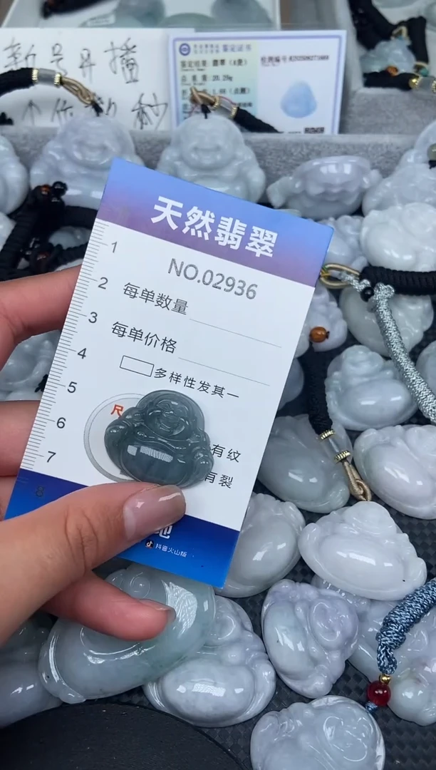 颈饰未镶嵌翡翠纯天然A货翡翠2936