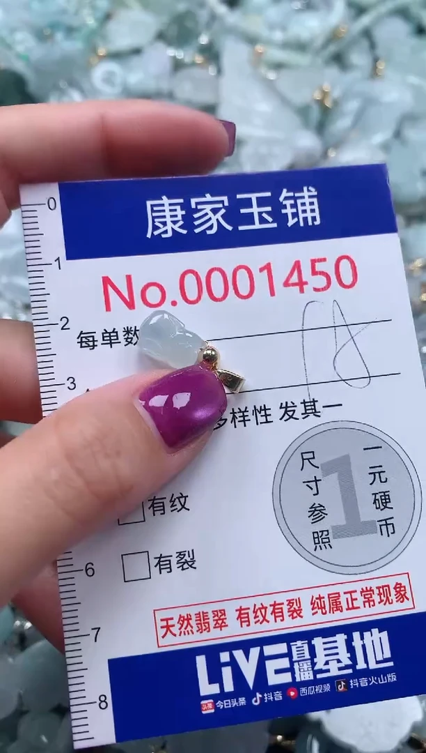 颈饰未镶嵌翡翠1450