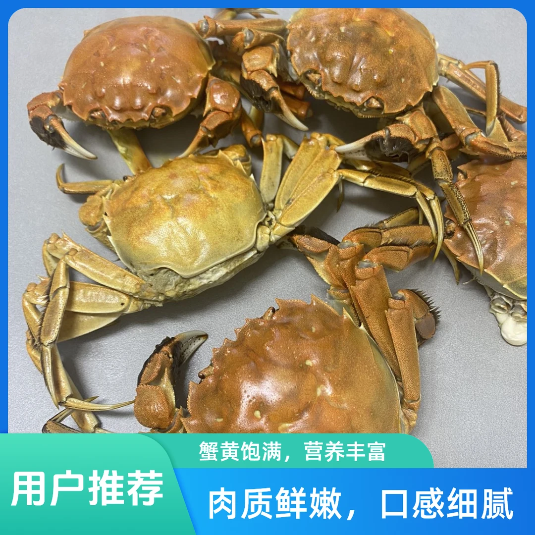 阿勒泰螃蟹纯母蟹【顺丰包邮】包活到家