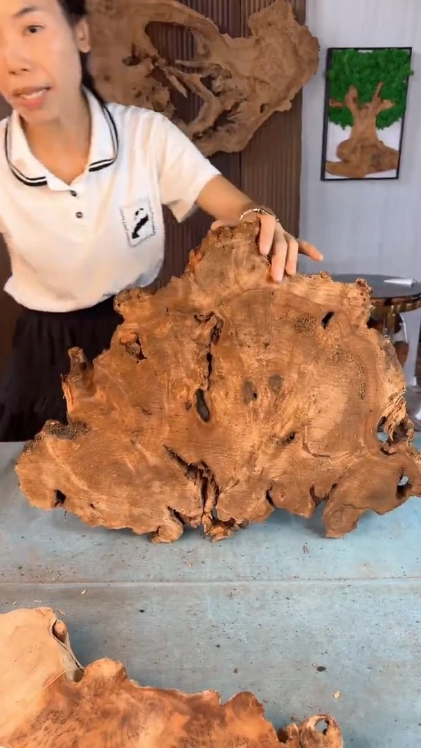 香杉木杉木瘤随型【原料】033