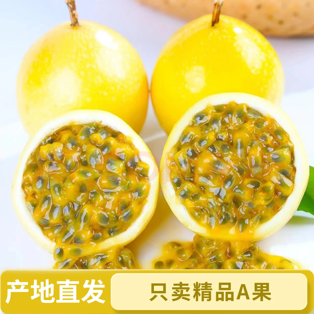 广西钦蜜9号黄金百香果王新鲜采摘现发营养丰富维c高九分甜一分酸
