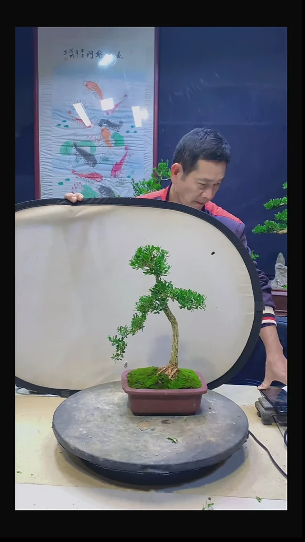 无花朵推*人111111111111111