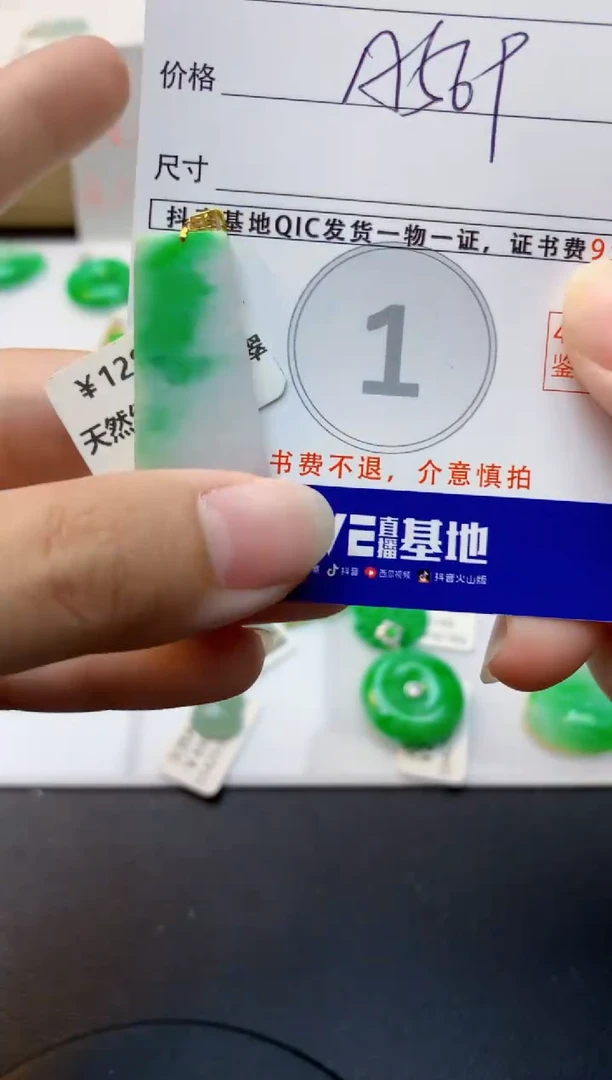 颈饰未镶嵌翡翠天然缅甸A货翡翠