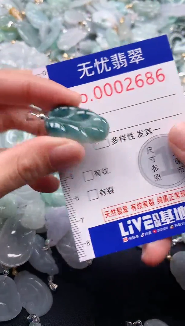 颈饰未镶嵌翡翠2686