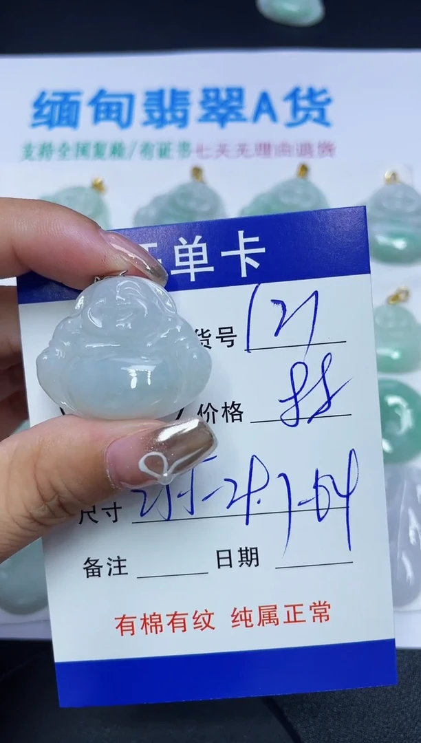 翡翠未镶嵌吊坠(赠链)121