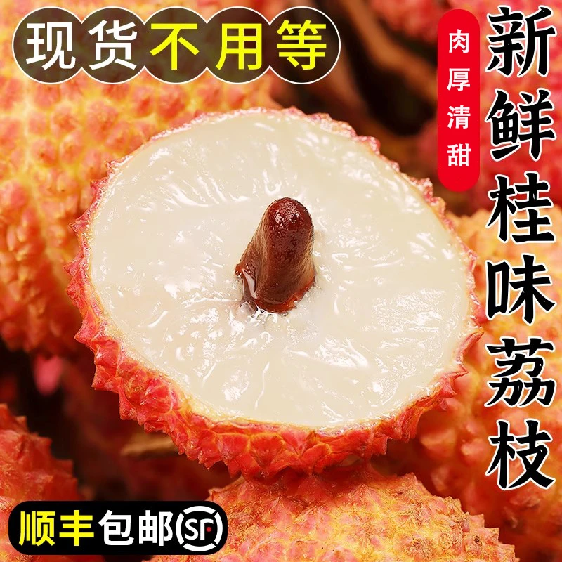 荔枝界爱马仕丨广东高州桂味荔枝现摘现发新鲜多汁水果顺丰冷链