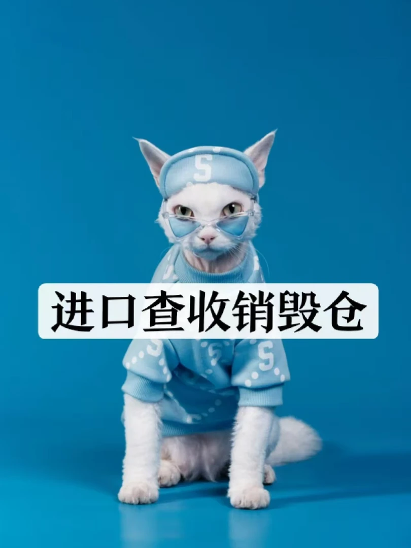 5号-【超越】-TX8003-简约小a长袖夏季尚重磅上新潮奢长袖男女同款