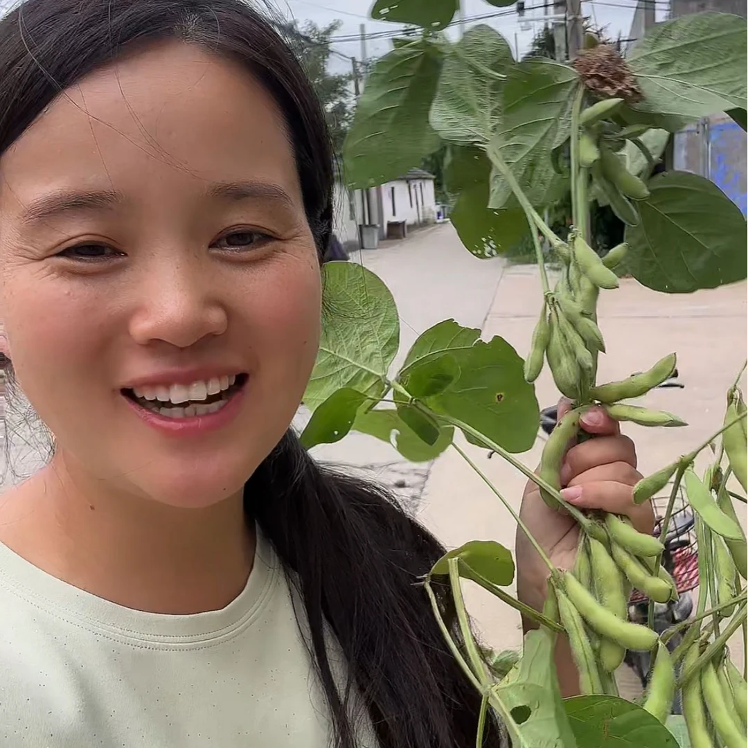 高邮本地现摘现发农家自种新鲜毛豆