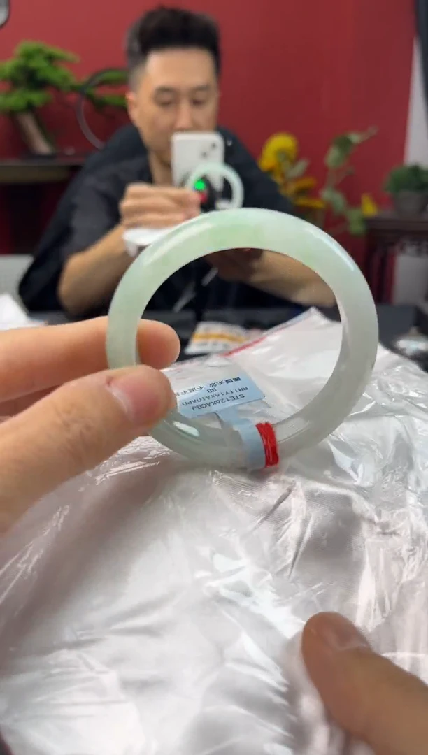 未镶嵌手镯翡翠4