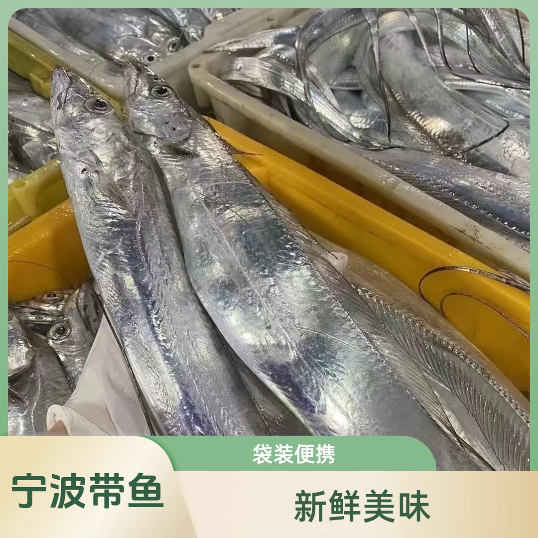 3斤新鲜小眼睛雷达网带鱼段现切