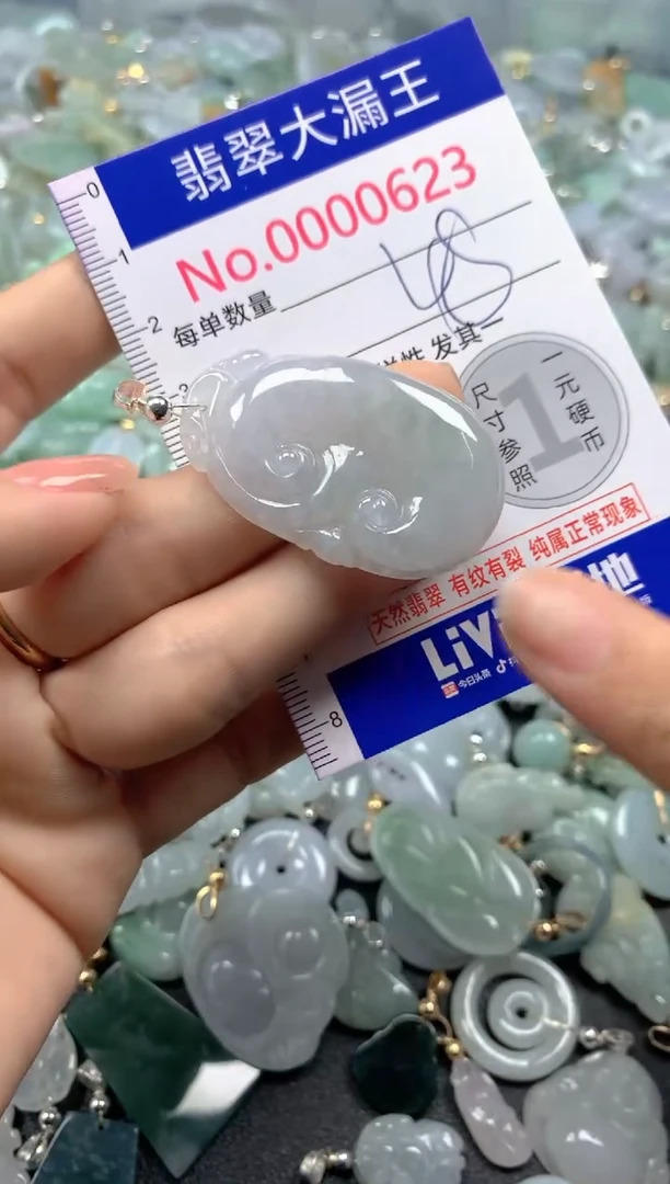 颈饰未镶嵌翡翠623
