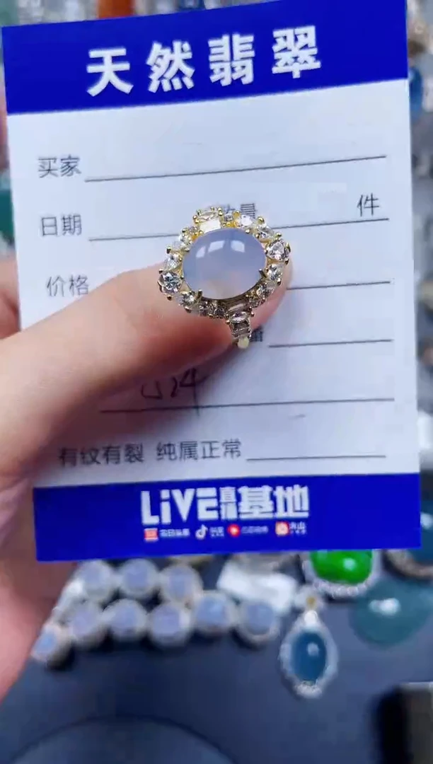 银S925镶嵌翡翠耳饰524