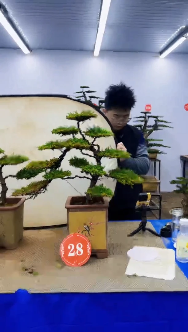 完全开放花*?一物一拍，所见即所得