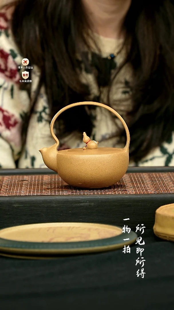茶壶紫砂全手工如意壶 一物见春