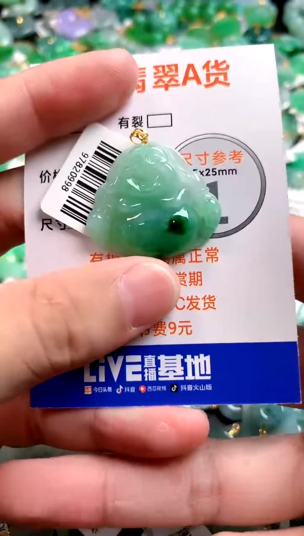 颈饰18K金镶嵌翡翠0818588061