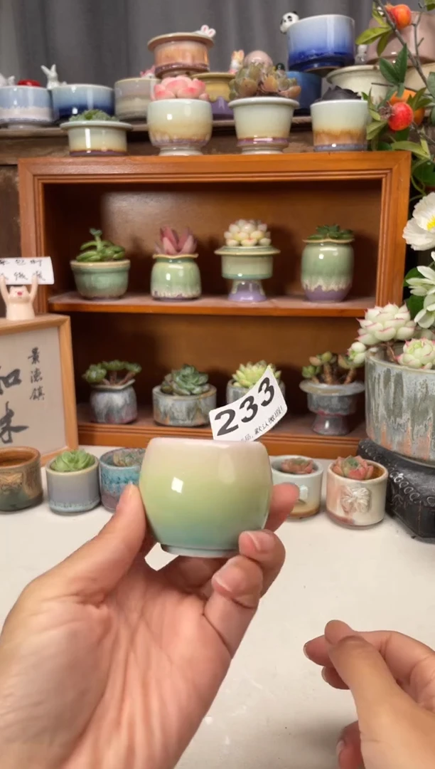 瓷片233知木小芳花盆直播编号